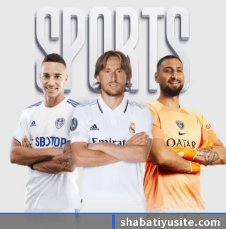 五大服务分区,信息按项目分类 - 多运动项目内容板块(SabaSports)